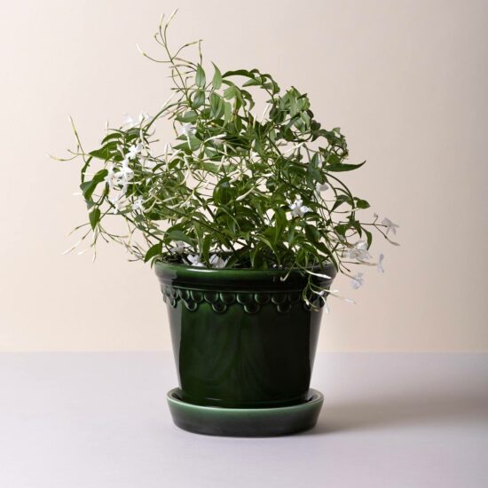 BERGS POTTER 'KØBENHAVNER', EMERALD GREEN