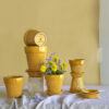 BERGSPOTTER 'SIMONA', AMBER YELLOW - Bild 2