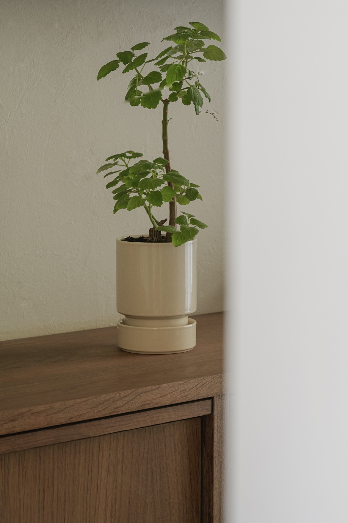 BERGS POTTER ‘HOFF POT’, SANDSTONE