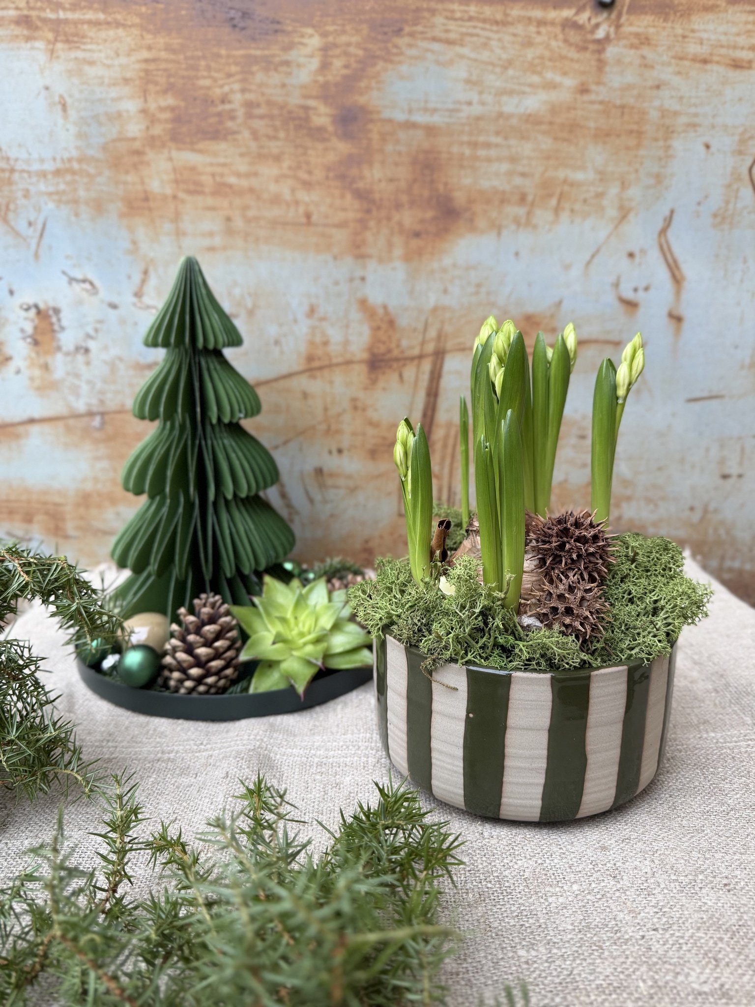 GRÖNA RANDEN - Bild 2