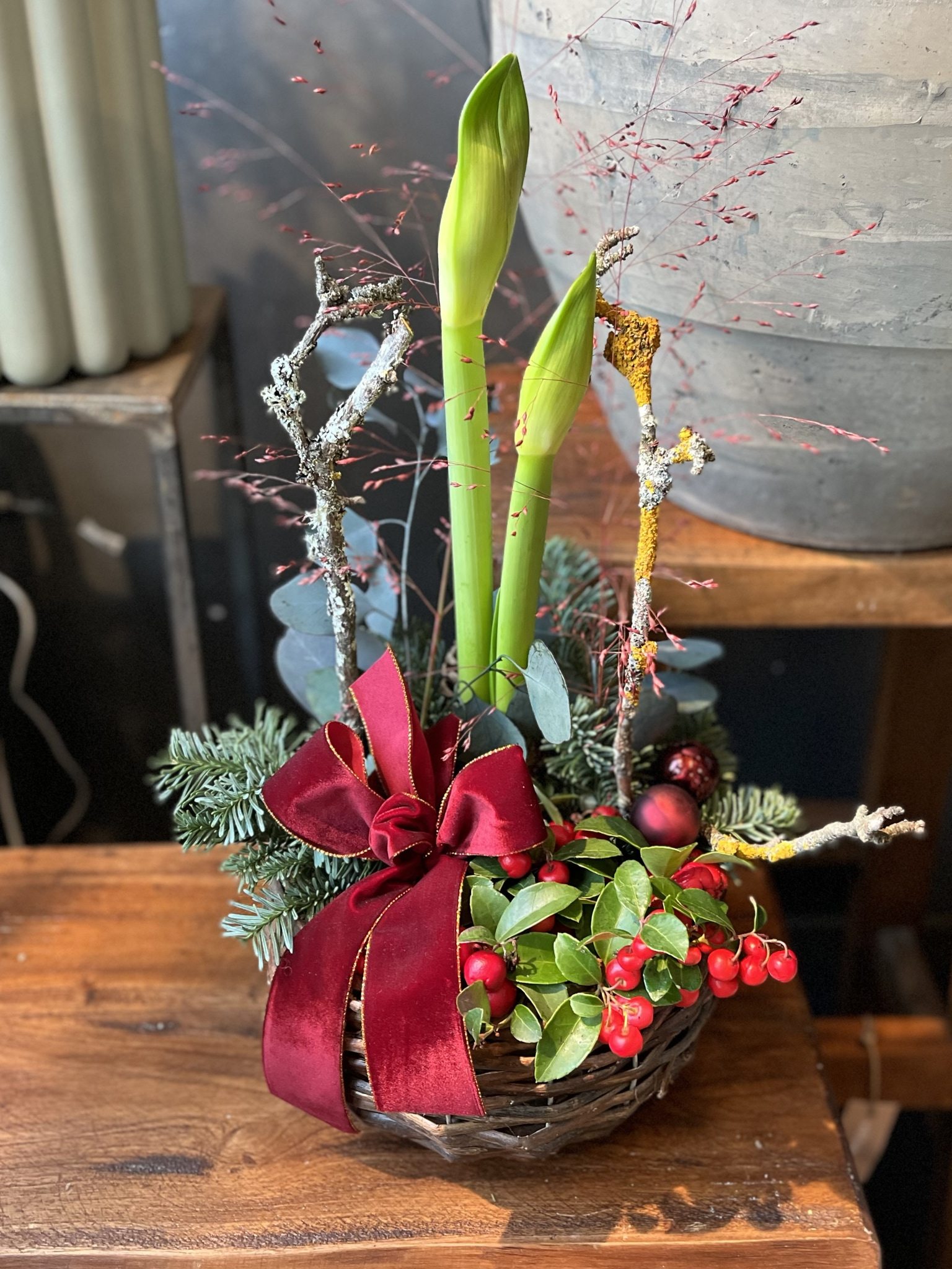 JULAMARYLLIS - Bild 2